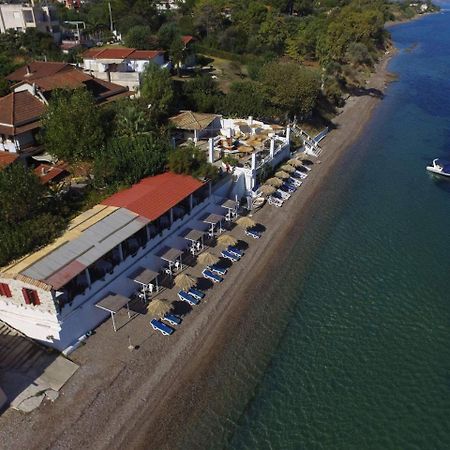 Taradella Hotel Aliszósz Kültér fotó